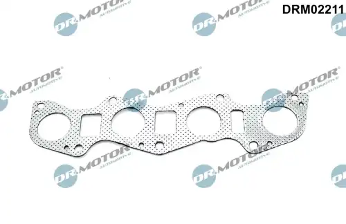 DR. MOTOR DRM02211