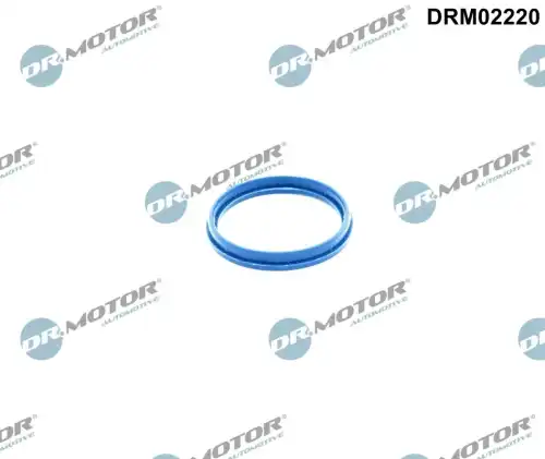 DR. MOTOR DRM02220