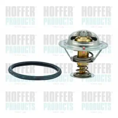 Термостат системы охлаждения HOFFER 8192636