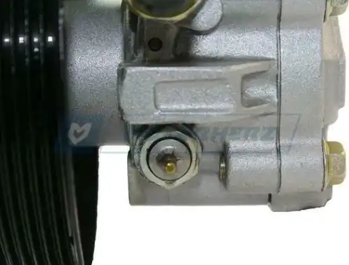 Насос гидроусилителя руля MOTORHERZ P1043HG