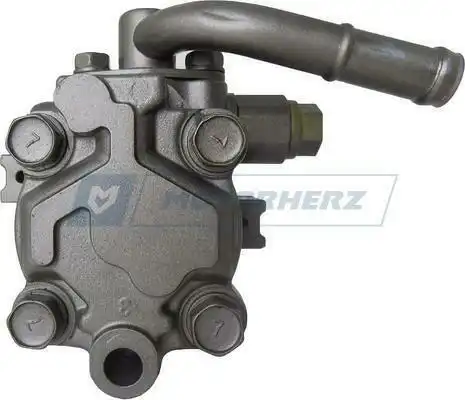 Насос гидроусилителя руля MOTORHERZ P1317HG