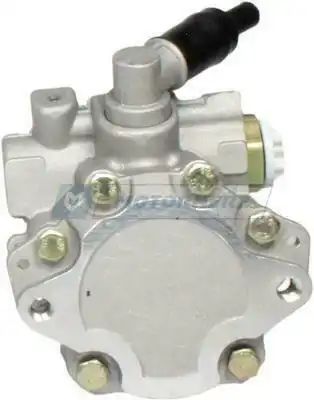 Насос гидроусилителя руля MOTORHERZ P1597HG