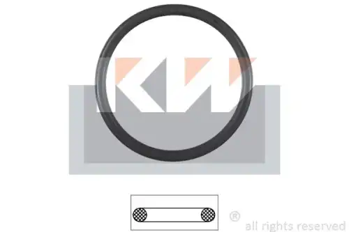 Прокладка коллектора KW 590 538
