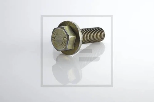 болт крепления суппорта! M18x55 \ DAF 106.151-00A PETERS