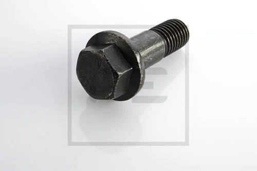 болт крепления суппорта! M18x2.5x55 \ DAF 106.150-00A PETERS