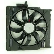 Вентилятор охлаждения двигателя 850W BW0940200007 DOMINANT