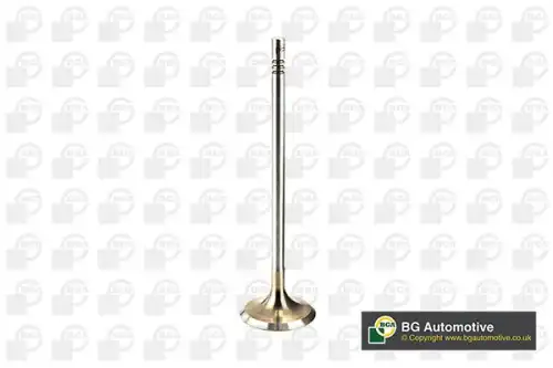 Клапан двигателя впускной (29.5x4.98x110.2) AUDI Q2/SEAT IBIZA, LEON/SKODA FABIA, KAROQ, OCT V205096 BGA