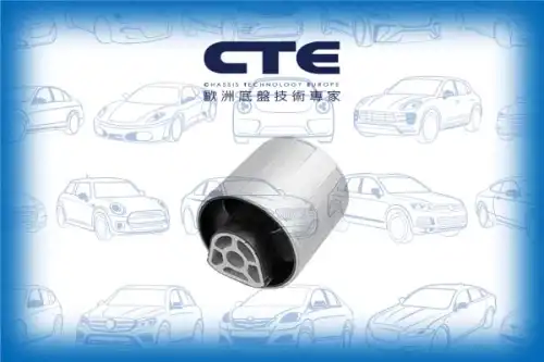 Рычаг подвески CTE CBH09065