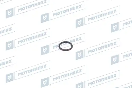 Кольцо рулевой рейки HR0023C MOTORHERZ