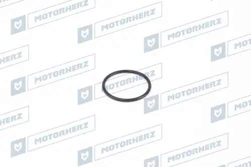 Кольцо рулевой рейки HR0028C MOTORHERZ