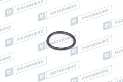 Кольцо рулевой рейки HR0469AC MOTORHERZ