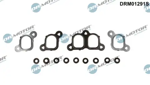 Прокладка коллектора DR. MOTOR DRM01291S