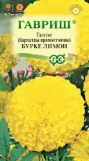 https://img.armtek.ru/img/article/695/69583626/230x230/69583626_0.webp
