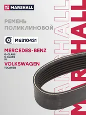 MARSHALL M6310431
