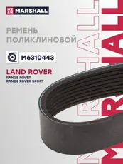 MARSHALL M6310443