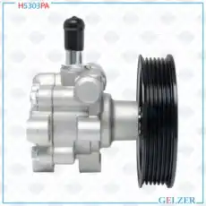 Насос гидроусилителя руля GELZER H5303PA