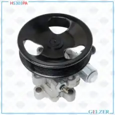 Насос гидроусилителя руля GELZER H5303PA