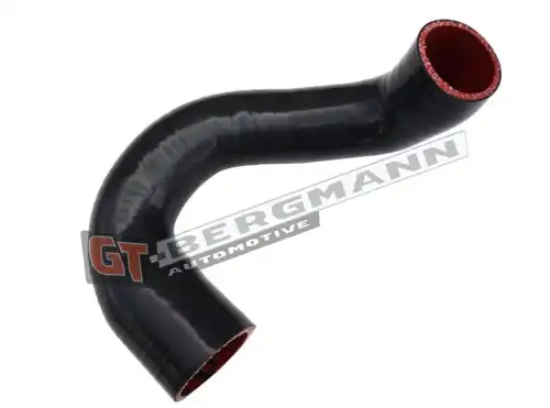 Автозапчасть GT52570 GT-BERGMANN