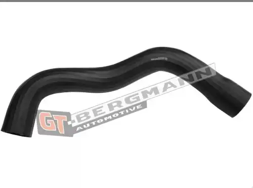 Автозапчасть GT52599 GT-BERGMANN
