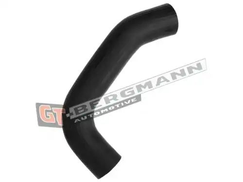 Автозапчасть GT52617 GT-BERGMANN