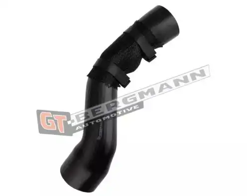Автозапчасть GT52663 GT-BERGMANN
