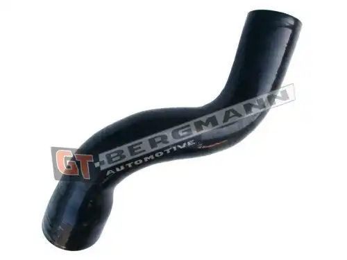 Автозапчасть GT52688 GT-BERGMANN