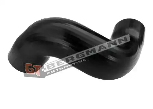Автозапчасть GT52689 GT-BERGMANN