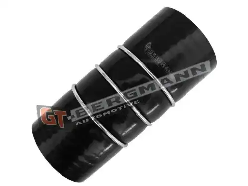 Автозапчасть GT52691 GT-BERGMANN