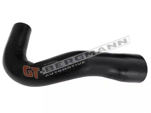 Автозапчасть GT52697 GT-BERGMANN