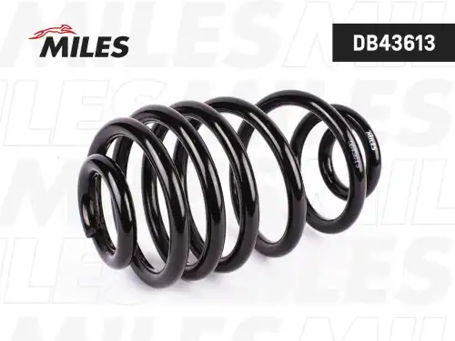 DB43613 Пружина подвески MILES