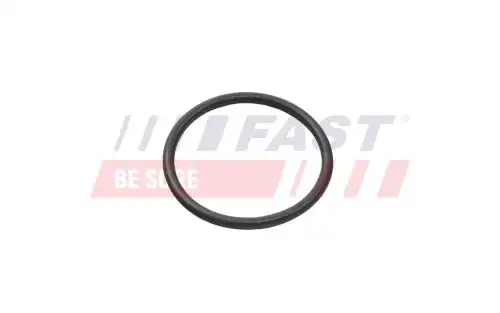 Уплотнительное кольцо, шланг охлаждающей жидкости FT49935 FAST