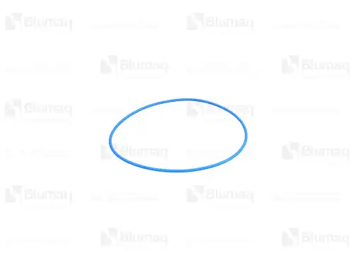 САЛЬНИК 5024034 ST BLUMAQ