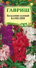 https://img.armtek.ru/img/article/698/69820236/230x230/69820236_0.webp
