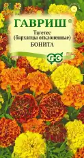 https://img.armtek.ru/img/article/698/69820243/230x230/69820243_0.webp