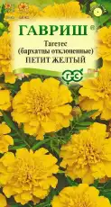 https://img.armtek.ru/img/article/698/69820252/230x230/69820252_0.webp