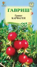 https://img.armtek.ru/img/article/698/69820768/230x230/69820768_0.webp