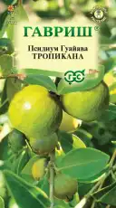 https://img.armtek.ru/img/article/698/69820845/230x230/69820845_0.webp