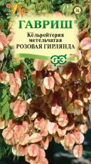 https://img.armtek.ru/img/article/698/69821347/230x230/69821347_0.webp