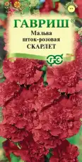 https://img.armtek.ru/img/article/698/69821974/230x230/69821974_0.webp