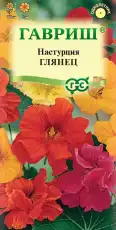 https://img.armtek.ru/img/article/698/69822272/230x230/69822272_0.webp