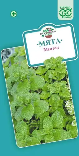 Семена Мята Ментол 005 г б/п 10006792 ГАВРИШ