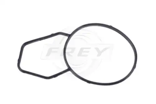 Прокладка, корпус термостата 800520901 FREY