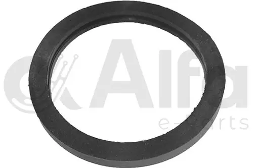 Прокладка, термостат AF14248 ALFA E-PARTS