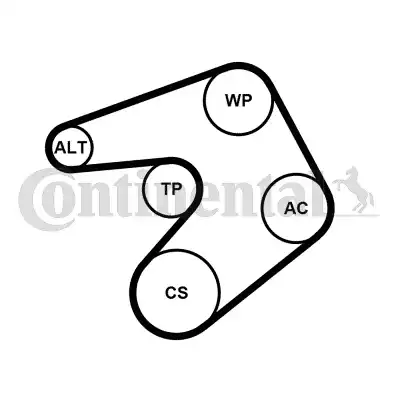 Ремень клиновой CONTINENTAL 6PK1205WP1