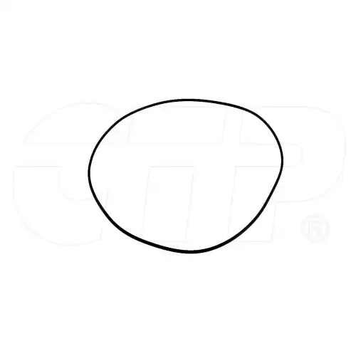 Кольцо уплотнительное автомобильное CTP 2738314