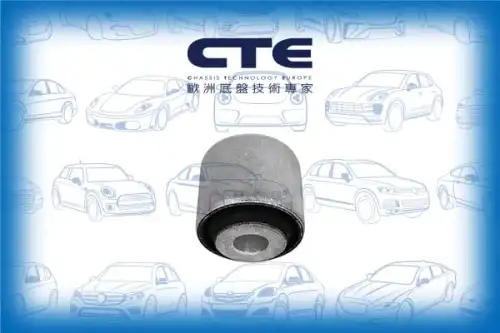 Рычаг подвески CTE CBH21057