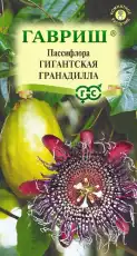https://img.armtek.ru/img/article/701/70113277/230x230/70113277_0.webp