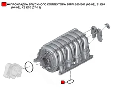 Прокладка коллектора WENDERW WERK054