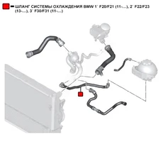 Шланг системы охлаждения WEPTR346 WENDERW