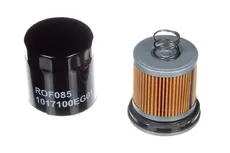 Салонный фильтр RAF FILTER ROF085